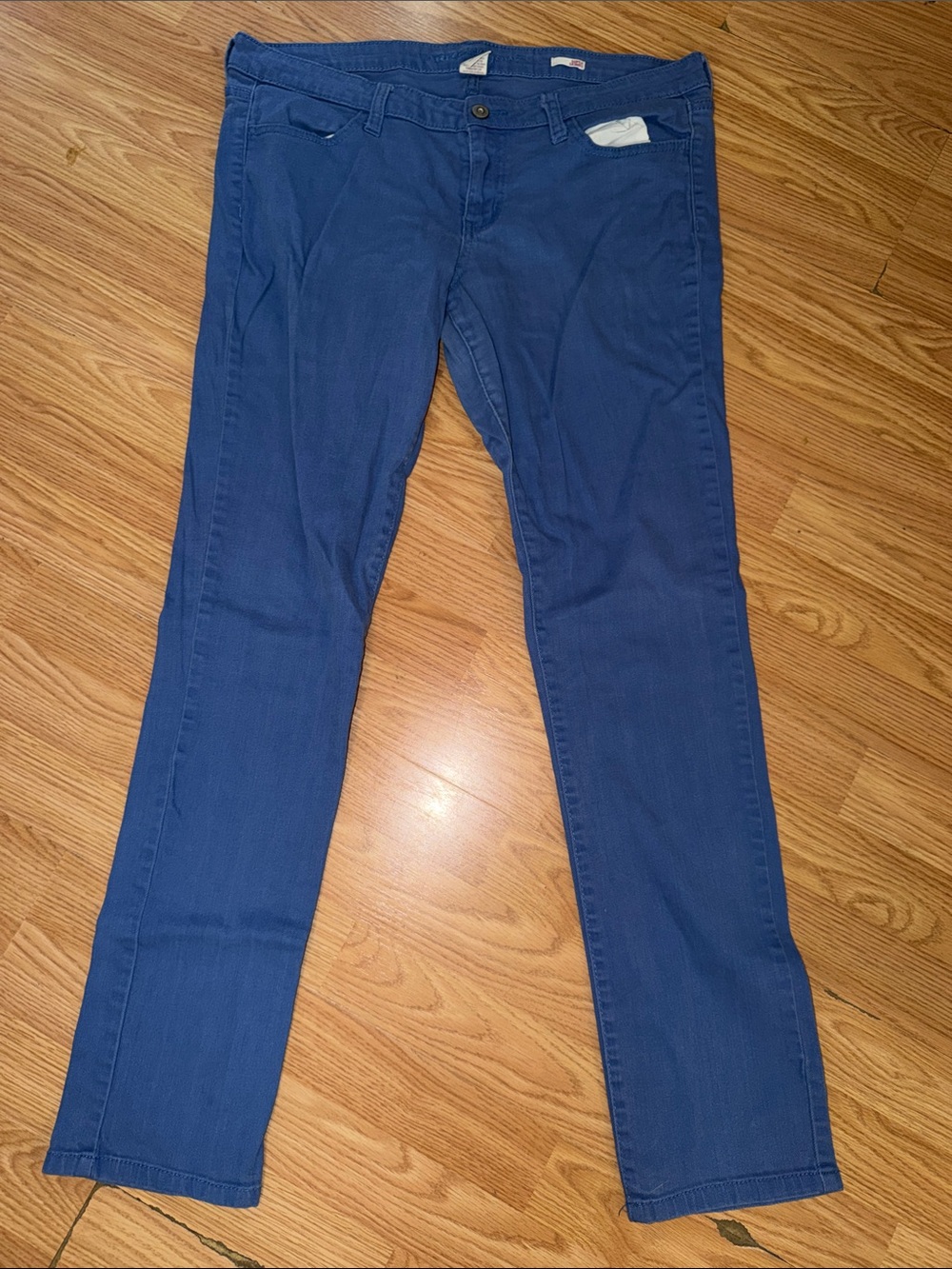 Arizona Jean Company Skinny Jeans in Blue